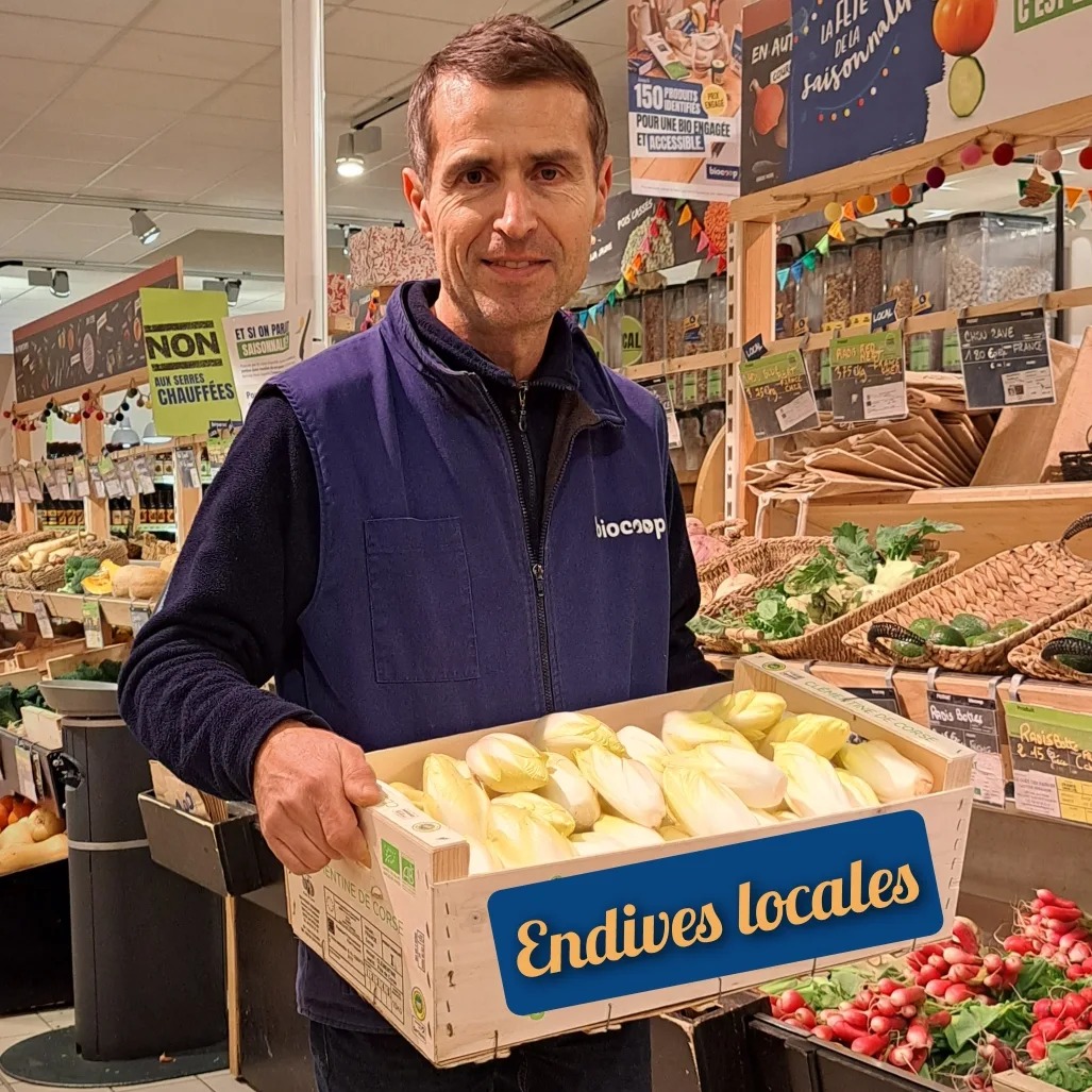 Nouveauté de saison : des endives locales débarquent en rayon !