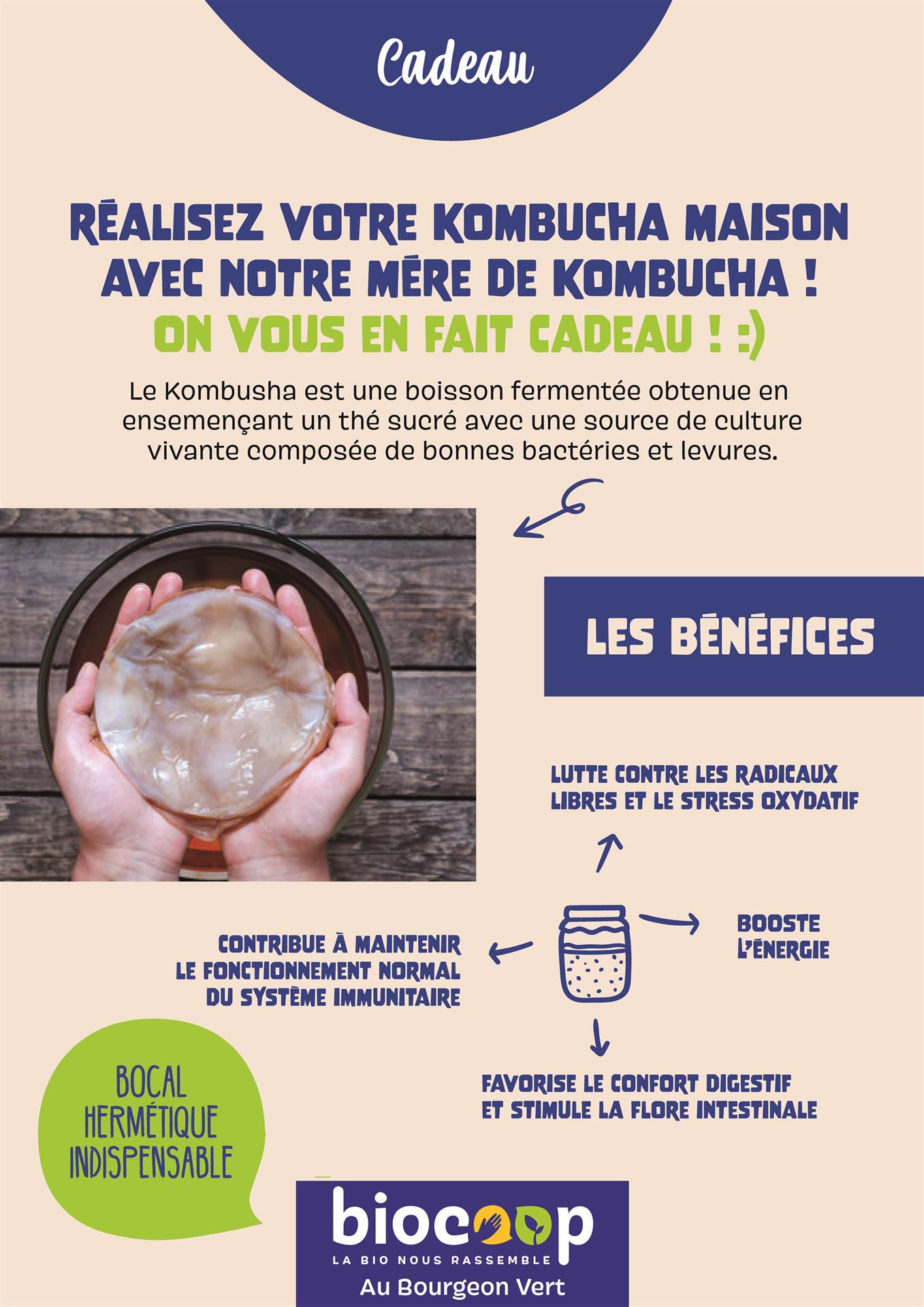 Faites votre kombucha maison (on vous offre de la matière pour vous lancer !)