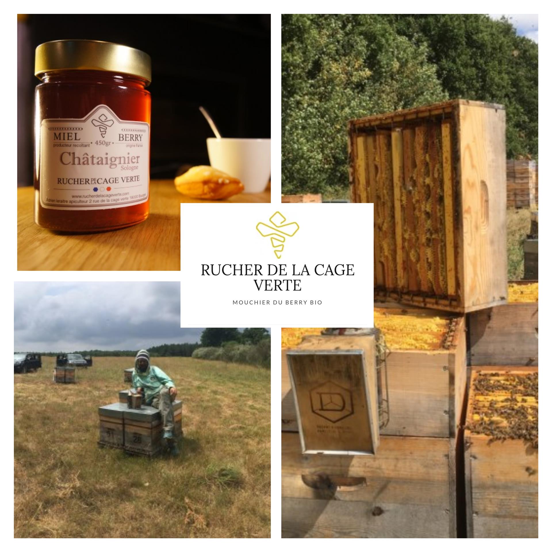 Nouveau producteur local : le Rucher de la Cage Verte Nouveau producteur local : le Rucher de la Cage Verte