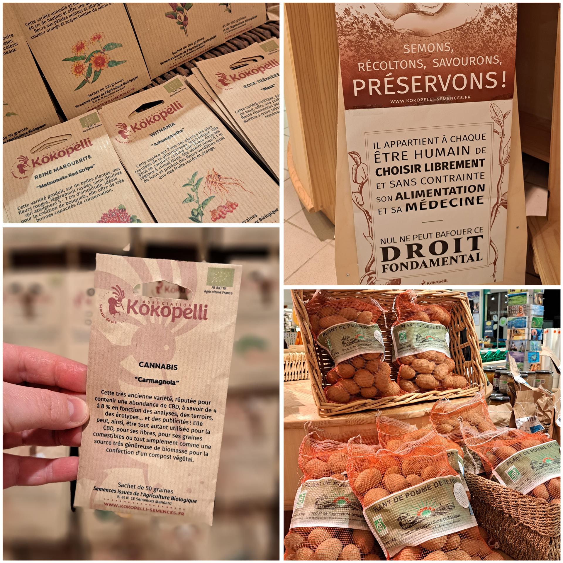 Préparation du potager I Optez pour des graines et plants bio reproductibles ! Préparation du potager I Optez pour des graines et plants bio reproductibles !