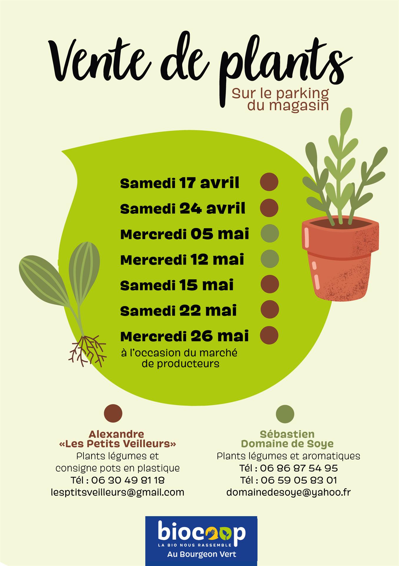 Vente de plants de légumes Vente de plants de légumes