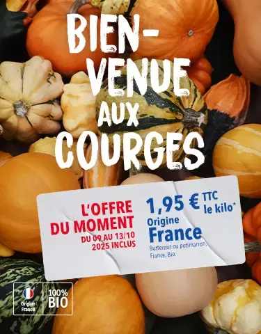 OP FEL Automne 2025 - Courges