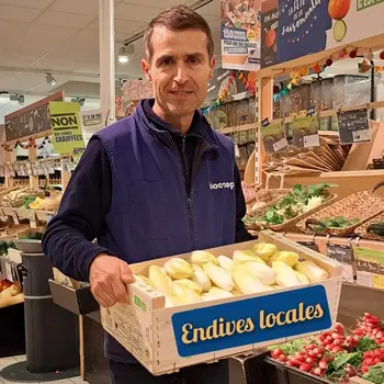 Nouveauté de saison : des endives locales débarquent en rayon !