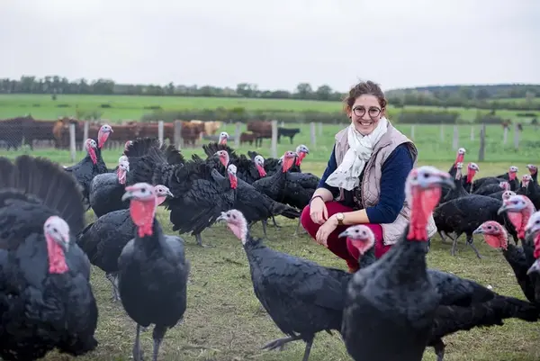 Commandes de volailles locales pour Noël : dernière ligne droite !