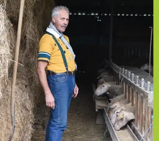 VENTE DIRECTE PRODUCTEUR LOCAL - Viande d'agneau