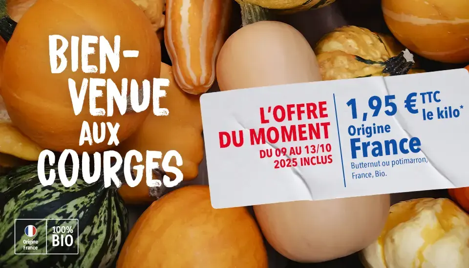 OP FEL Automne 2025 - Courges